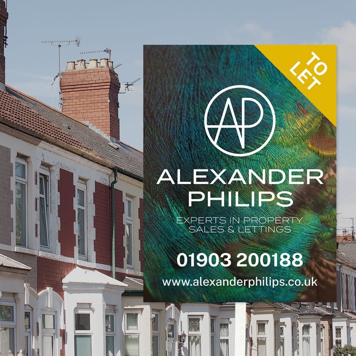 Put your property in safe hands with Alexander Philips