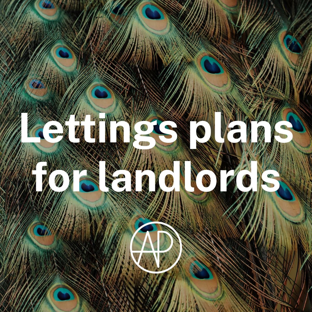 Lettings Plans for Landlords