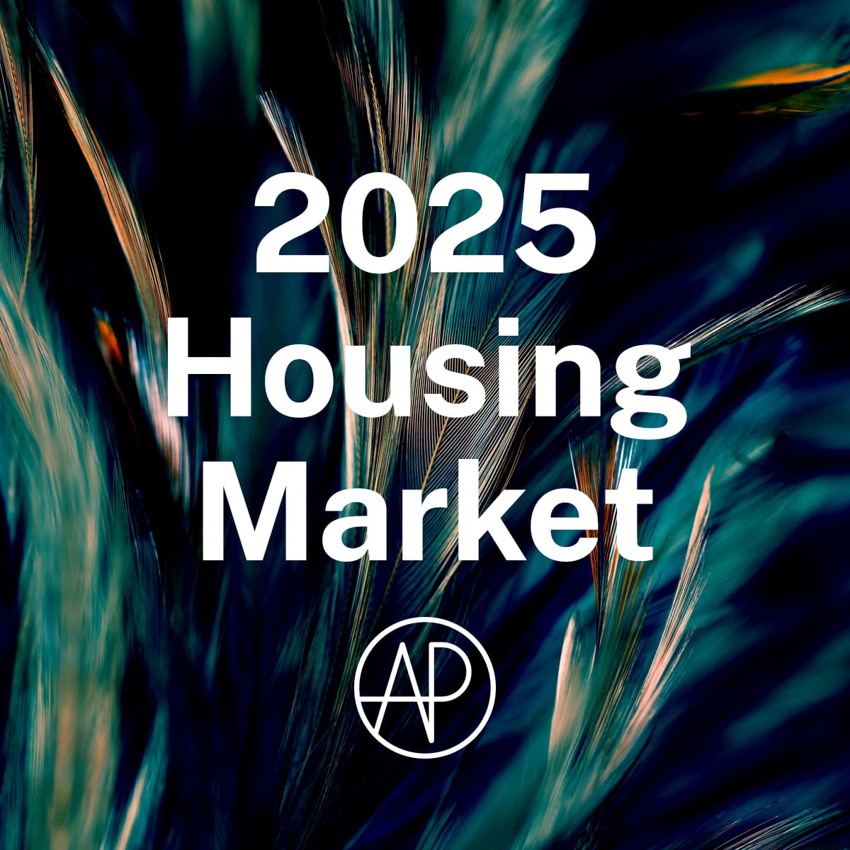 2025 housing market